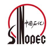 中国仪征化纤有限公司